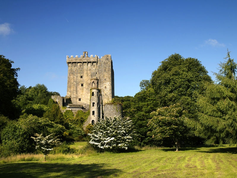 blarney castle blog