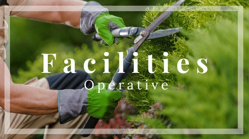Operatore di strutture