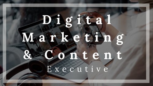 Digital Marketing & Content Executive